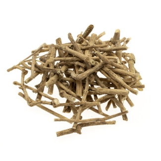 Silene Capensis - African dream root